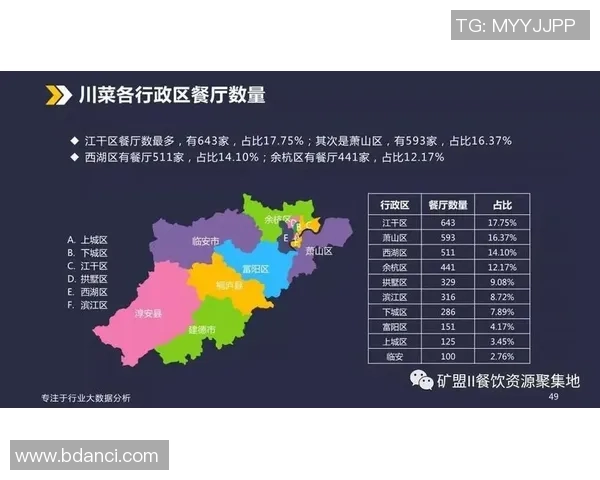 杭州网球队战术表现深度解析与数据分析报告